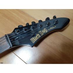 GUITARRA ARIA PRO II BLACK DOG!!!