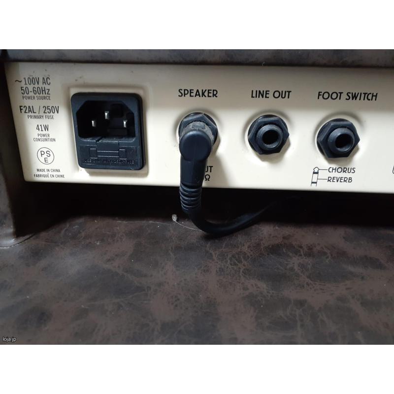 Amplificador para violão e voz com reverber