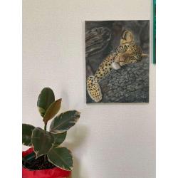 Quadro Panthera pardus