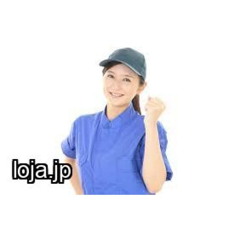 anjo-onna-puresu hirukin